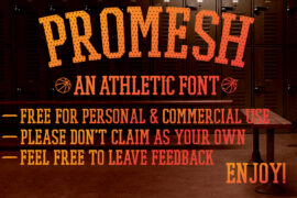 PROMESH Font Family