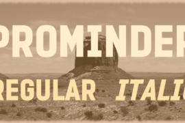 PROMINDER Font Family