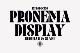 Pronema Serif Font