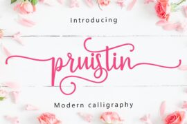 pruistin Font