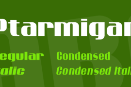 Ptarmigan Font Family