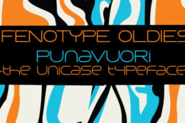 Punavuori 00150 Font