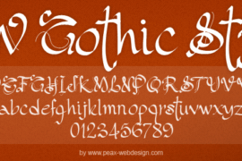 PW Gothic Style Font