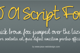 PW01Script Font