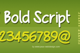 PWBoldScript Font