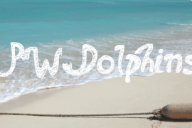 PWDolphins Font