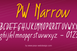 PWNarrow Font