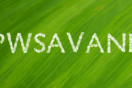 PWSavane Font