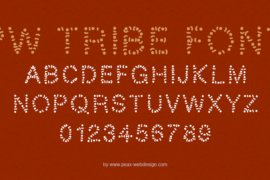 PW Tribe Font