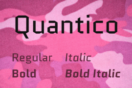 Quantico Font Family