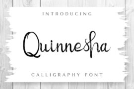 Quinneshademo Font Family