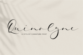 Quinolyne Font