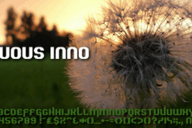 Quous Inno Font