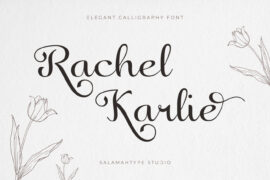 Rachel Karlie DEMO Font