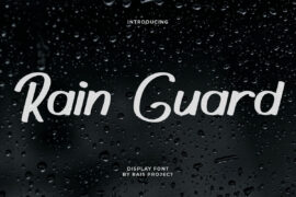 Rain Guard Demo Font