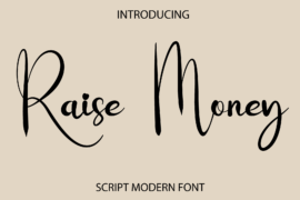 Raise Money Font