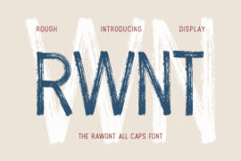 RAWONT Font
