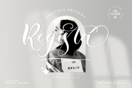 Regista Font Family