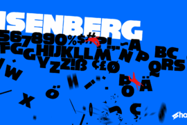 Reisenberg Font Family