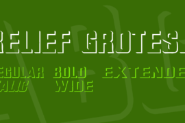 Relief Grotesk Font Family
