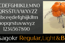 Resagokr Font Family