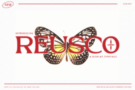 Reusco Display Font