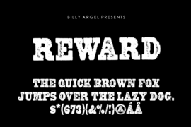 REWARD PERSONAL USE Font