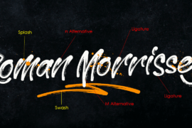 Roman Morrissey DEMO Font