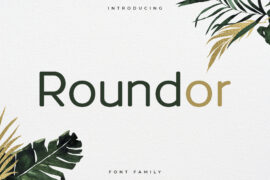 RoundorNonCommercial Font