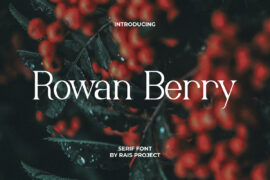 Rowan Berry Demo Font Family