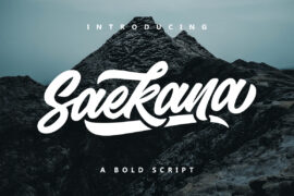 Saekana Font Family