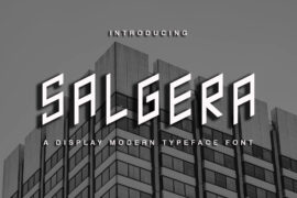 Salgera – Demo Font