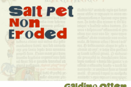 Salt Pet Non Eroded Font