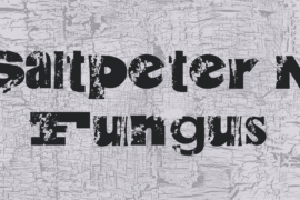 Saltpeter N Fungus Font