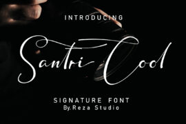 Santri Cool Font