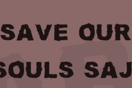 SAVE OUR SOULS saji Font