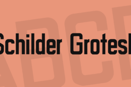 Schilder Grotesk Font