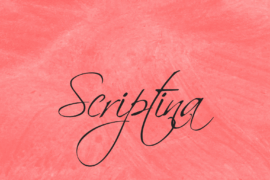 Scriptina Font Family