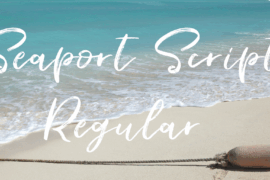 Seaport Script Font