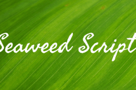 Seaweed Script Font