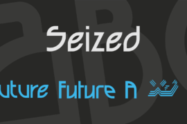Seized Font Family