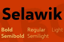 Selawik Font Family