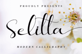 Selitta Font