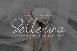 Sellerina Demo Font