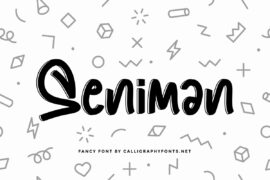 Seniman Demo Font Family