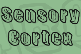 Sensory Cortex Font