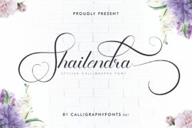 Shailendra Demo Font