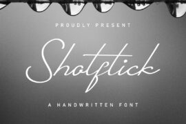 Shotflick Demo Font