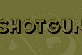 Shotgun Font Family