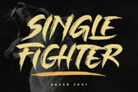 SINGLE FIGHTER Font